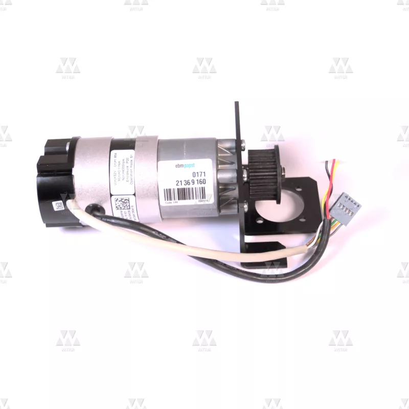 1022411A01 | AUGUSTA-ECO EVO MONTAGEM MOTOR VERTICAL 02C ESQUERDO - 12L